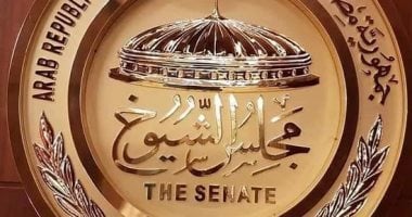 اختصاصات مجلس الشيوخ وفق نصوص القانون.. تفاصيل