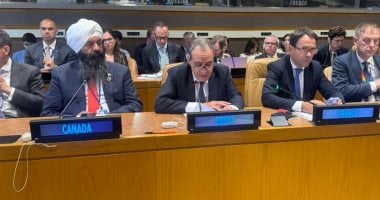 وزير الخارجية يشارك فى اجتماع لجنة التواصل بشأن فلسطين AHLC