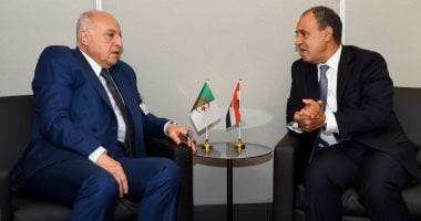وزير الخارجية يؤكد أهمية دعم مسار الحل الليبى– الليبى وصولاً للانتخابات
