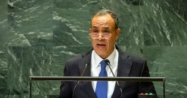 وزير الخارجية: الوضع فى الشرق الأوسط على شفير الانفجار