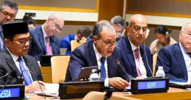 وزير الخارجية يؤكد الدور الفعال لمجموعة البريكس في تحقيق التنمية المستدامة