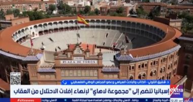 عضو "الوطنى الفلسطينى": تحالف لاهاي رسالة قانونية وأخلاقية لعزل إسرائيل دوليا