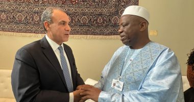 وزير الخارجية يؤكد حرص مصر على تعزيز التعاون الثنائى مع غينيا فى شتى المجالات