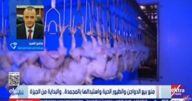 شعبة الدواجن: بيع الطيور مجمدة يخفض الفجوة بين المزرعة والمستهلك 25%