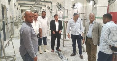 مستشار وزير التنمية المحلية لشؤون المجازر يزور مجزر الأقصر النصف آلى