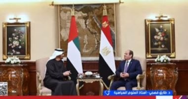 خبير: زيارة رئيس الإمارات لمصر تنقل رسائل مهمة لأمريكا وإسرائيل