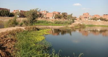 أهالى جزيرة داوود بالمنوفية يشتكون ارتفاع منسوب المياه.. ورئيس المدينة يرد