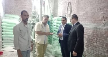ضبط 5 أطنان دقيق بلدى مدعم خلال حملة مسائية فى الجيزة