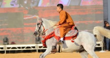 164 جواد عربى أصيل يتنافسون فى مهرجان الشرقية للخيول العربية اليوم.. صور