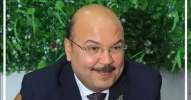 برلمانى: العلاقات المصرية الإماراتية نموذج فريد للوحدة وتعزيز التضامن العربى