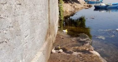 شئون البيئة بقنا: إجراءات قانونية ضد حظيرة مواشي تصرف مياهها في نهر النيل