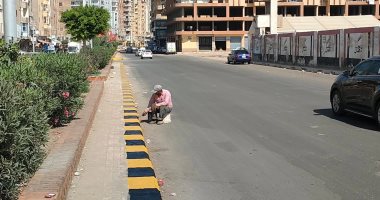خطة لتطوير ودهان وتشجير عدد من الشوارع غرب وشرق كفر الشيخ