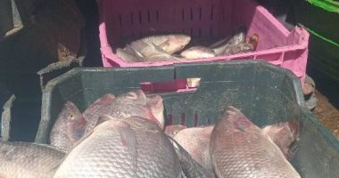 ضبط سيارة محملة بأسماك فاسدة فى ساقلته سوهاج.. صور