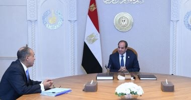 الخارجية توثّق عقدًا من الإنجازات فى كتابين تقدمهما للرئيس السيسى عن السياسة الخارجية