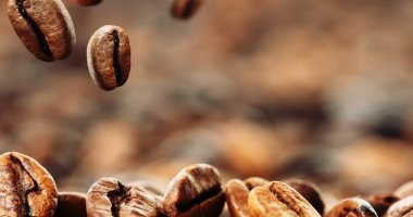 اليوم العالمى للقهوة.. المشروب الأكثر شعبية رافق البشر على مدار أكثر من 600 عام.. اكتشفت فى أفريقيا فى القرن الـ7.. وصلت لليمن ومصر وفارس وأطلق عليها اسم نبيذ العرب.. وفى أوروبا وصفت بالمشروب الشيطانى