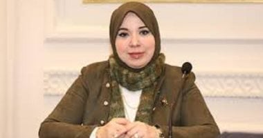 النائبة دينا هلالى: العمل البرلمانى أمانة ومسؤولية تمثل صوت الملايين بصدق
