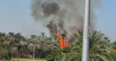 السيطرة على حريق محدود في مخلفات وأشجار نخيل بمحيط معابد الكرنك