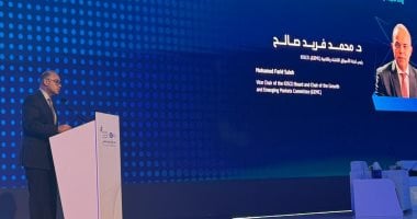 رئيس الرقابة المالية: وضع خط أساس عالمى موحد لتقارير الاستدامة لإعداد تقارير مالية