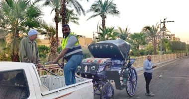 ضبط عربات حنطور مخالفة ورفع 20 طن من القمامة والتراكمات فى جنوب وشرق الأقصر