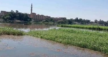 محافظ المنوفية: تضرر 1200 فدان و70 منزلا طرح نهر من ارتفاع منسوب النيل