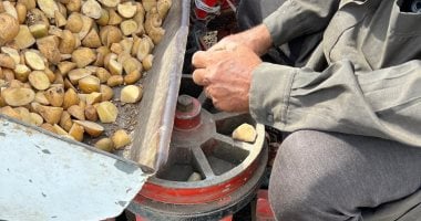 انطلاق موسم زراعة البطاطس بالسطارة في الدقهلية.. فيديو وصور
