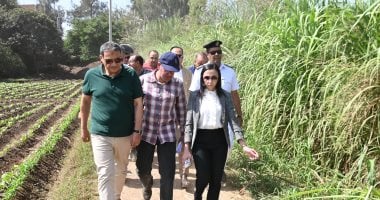 محافظ البحيرة: خطة متكاملة لمواجهة ارتفاع منسوب النيل وتأثيره على أراضي طرح النهر