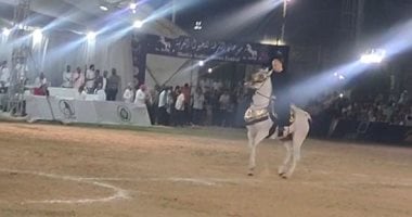انطلاق مسابقات تراث أدب الخيل بمهرجان الشرقية للخيول العربية.. فيديو