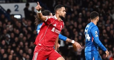 ليفربول يفقد صدارة الدوري الإنجليزي بخسارة قاتلة أمام تشيلسي.. فيديو