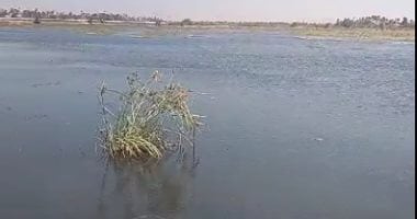 تفاصيل ارتفاع منسوب النيل فى سوهاج ووصول المياه للجزر.. فيديو