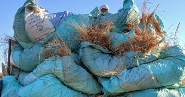 منطقة آثار الأقصر تزيل مخلفات العاقول والحشائش بمعابد الكرنك.. صور