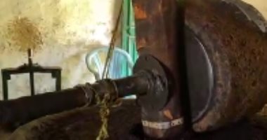 المعصرة الحجرية.. أقدم آلة لعصر الزيتون في الواحات.. من هنا يخرج أحلى زيت زيتون أصلي