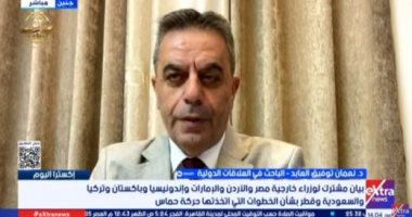 باحث: يجب الاتفاق على كل تفاصيل خطة ترامب لوقف العدوان على غزة