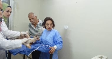 الجيزة تبدأ تنفيذ بروتوكول التعاون مع جامعة القاهرة لتطعيم وتعقيم الكلاب الحرة