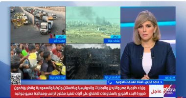 أستاذ علاقات دولية: التحرك العربى الإسلامى يدعم مسار سلام جديد.. ورد حماس "خطوة ذكية"