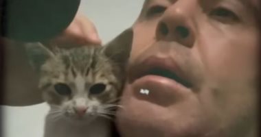 قطة تشارك مؤذنًا تركيًا الأذان وتخطف قلوب رواد مواقع التواصل..فيديو