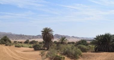 وادى مليحة أو كبة النخلة واحة طبيعية فى قلب صحراء الغردقة.. تزخر بتنوع طبيعى ساحر من أشجار نخيل ودوم وبحيرات صنعتها مياه الأمطار.. يتوافد إليها الآلاف من عشاق المغامرة ورحلات السفارى الجبلية.. صور