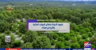 جهود الدولة بقطاع الموارد المائية والرى فى سيناء.. تقرير لإكسترا نيوز
