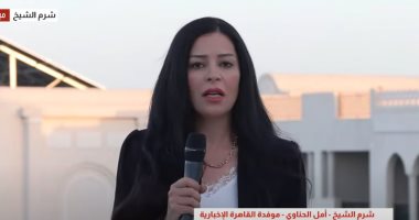 أمل الحناوى: التنسيق المصري القطري حاضر بقوة في مفاوضات حماس وإسرائيل