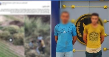 بعد عقر والد أحدهما.. شخصان يجمعان كلابًا ضالة داخل أجولة