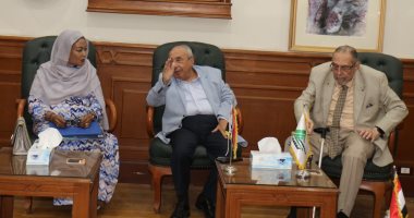 نقيب المهندسين لوفد هندسى سودانى: مستعدون لإعادة بناء وتأهيل البنية التحتية