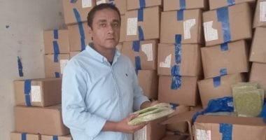 تموين الإسكندرية تضبط 6 أطنان من الخضراوات المجمدة منتهية الصلاحية
