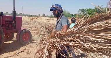 زراعة الوادى الجديد: بدء تنفيذ مبادرة فرم مخلفات النخيل بقرية القصر بالداخلة
