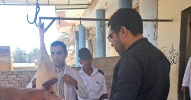 ضبط لحوم وأسماك غير صالحة للاستهلاك الآدمى فى حملة على الأسواق بسوهاج