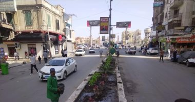 التنمية المحلية تعلن انتهاء تشجير وتجميل محور الشعراوى فى السيدة نفيسة