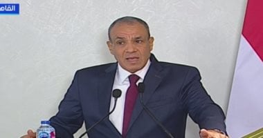 وزير الخارجية: تحركات بالأمم المتحدة لاعتماد خطة ترامب ونشر قوة دولية فى غزة