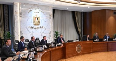 المجموعة الوزارية الاقتصادية: معدل التضخم الأساسى ينخفض لـ10.7% فى أغسطس 2025
