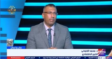 خبير اقتصادى يوضح أهم مزايا تستفيد منها مصر باتفاق تسهيل الاستثمار