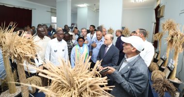 محافظ كفرالشيخ ووزراء الزراعة الأفارقة يتفقدون معرض أصناف الأرز الحديثة