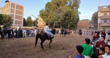التحطيب والمرماح.. تراث سنوى يحيه مئات اللاعبين أرض دندرة بقنا.. صور