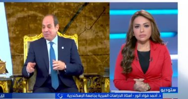 خبير: الدور المصرى تجاوز الوساطة إلى إجبار إسرائيل على وقف عدوانها فى غزة